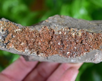 Vanadinite crystal cluster. Brown crystal cluster from Mibladen, Morocco