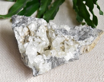 Dogtooth Calcite on Matrix from Faylor Middle Creek Quarry, Winfield, PA.