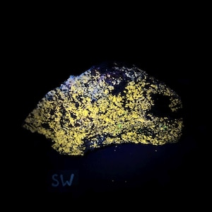 Fluorescent Wollastonite, Franklinite, Garnet, Pyrite, Hydrozincite. Yellow shortwave SW fluorescence. Sterling Hill Mine, NJ.