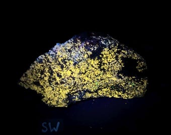 Fluorescent Wollastonite, Franklinite, Garnet, Pyrite, Hydrozincite. Yellow shortwave SW fluorescence. Sterling Hill Mine, NJ.