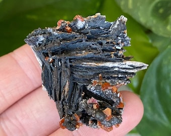Red Vanadinite on Barite Blades crystal cluster. Bright red and black cluster from Mibladen, Morocco - ET128