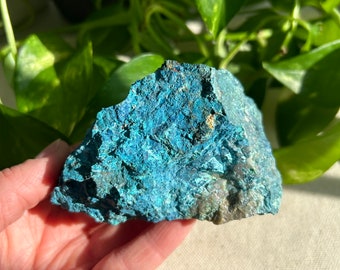 Rare Shattuckite, Chrysocolla, Plancheite, Quartz, and Mottramite. Healing Crystal from Namibia.