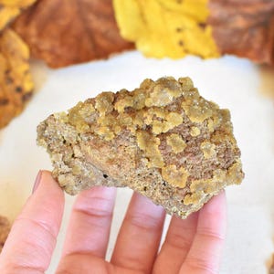 May include: A rough, textured rock formation with a light brown and yellow colour palette. The rock is held in a hand, with autumn leaves in the background. The rock has a crystalline appearance.