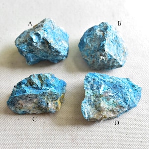 May include: Four rough-cut, natural blue-green mineral specimens, labeled A, B, C, and D. The stones have a textured surface with areas of light blue, turquoise, and hints of yellow and white. The minerals are displayed on a neutral, off-white background.