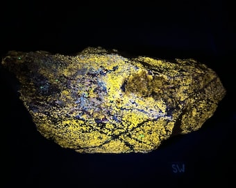 Large 9.8 lb Fluorescent Wollastonite, Franklinite, Garnet, Pyrite, Hydrozincite. Yellow shortwave SW fluorescence. Sterling Hill Mine, NJ.