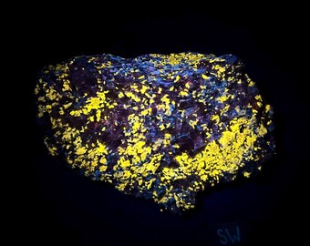 Fluorescent Wollastonite, Calcite, minor Hydrozincite, and Franklinite. Shortwave SW 254nm fluorescence From Sterling Hill Mine, NJ