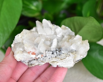 Heulandite, Datolite, Chabazite crystal cluster. From New Street Quarry, New Jersey.