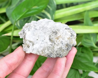 APOPHYLLITE AND CALCITE on Trap Rock. Upper New Street Quarry, New Jersey.