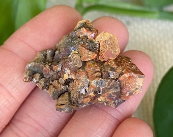 Lustrous Vanadinite crystal cluster. Brown crystal cluster from Mibladen, Morocco.