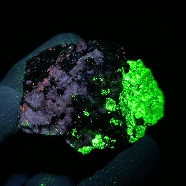 Willemite, Microcline, Fluorapatite, Hendricksite, and Garnet specimen. Fluorescent UV shortwave. Sterling Hill Mine, Nj.