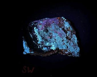 Fluorescent Hydrozincite, Sphalerite, Calcite. Multi Wave UV Fluorescence. Almedia Mine, Columbia County, Pennsylvania, USA - ET130