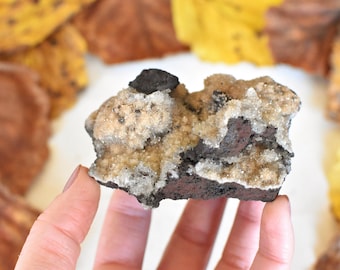 Calcite Crystal from Ojuela Mine, Durango, Mexico - ET124