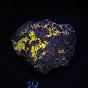 1 lb Fluorescent Wollastonite, calcite, pyrite, and Franklinite. Yellow shortwave SW fluorescence. From Sterling Hill Mine, NJ.