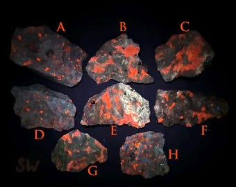 ONE Fluorescent Crazy Calcite specimen. Dolomite and Calcite. Sterling Hill Mine, Ogdensburg, New Jersey. Shortwave and Midwave