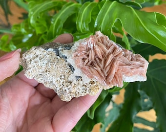 Pink Barite Blades and Galena Crystals from Morocco