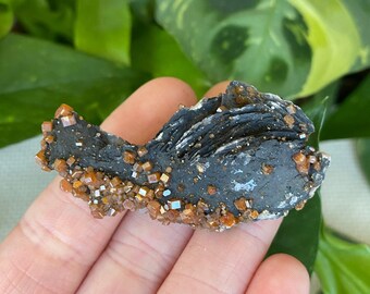 Vanadinite crystal cluster on Barite Blades. Bright red and black cluster from Mibladen, Morocco.