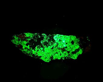 Fluorescent Willemite, Calcite, and Garnet. Shortwave (SW 254nm) Rare From Hamburg Mine, Franklin, NJ