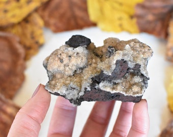 Calcite Crystal from Ojuela Mine, Durango, Mexico.
