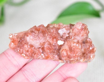 Red Quartz Crystal Cluster from Morocco. Hematite included specimen. Beautiful and natural crystal cluster.