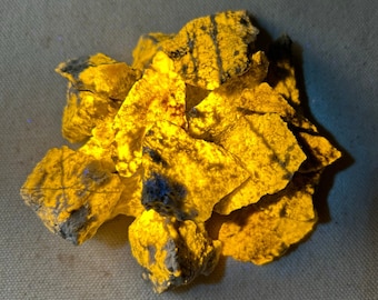 ONE Bright FLUORESCENT WERNERITE Specimen. Medium - Yellow Longwave Lw 365nm Fluorescence. From Grenville, Quebec, Canada