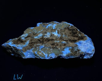 6" - 225 g - Large Fluorescent Amber. From Sumatra, Indonesia. Natural and rough.