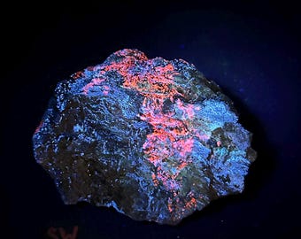 Fluorescent Hydrozincite, Calcite, and pyrite from Ophir Canyon, Tooele, Utah. SW UV - ET130