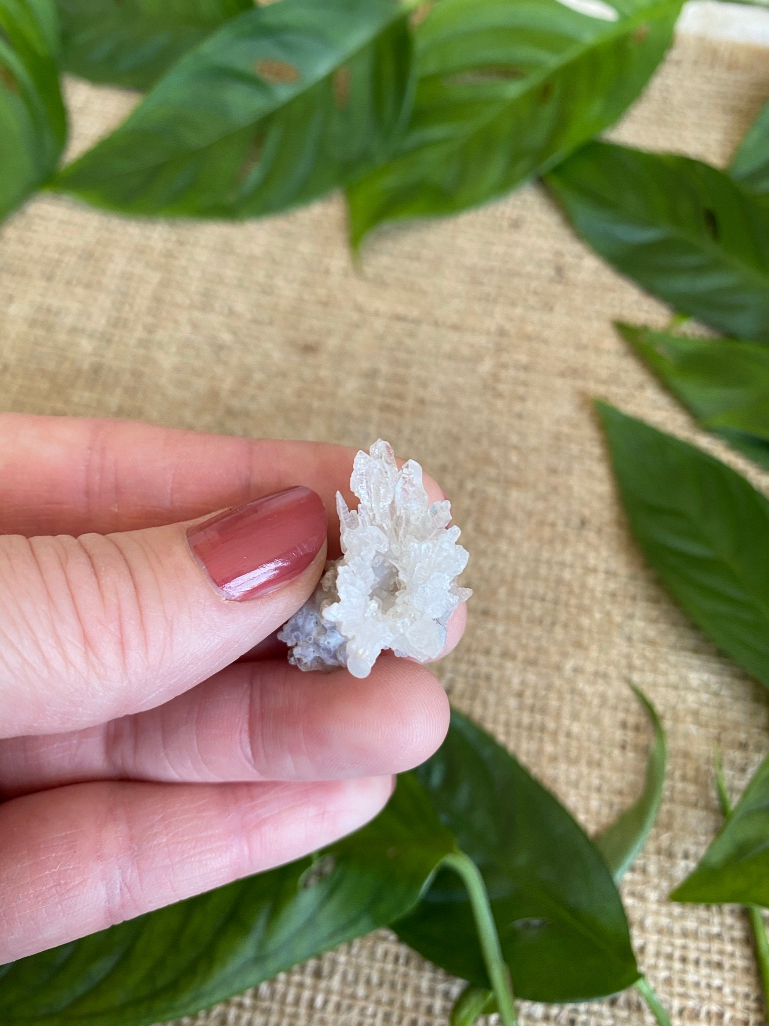 FLUORESCENT DUGWAY FlOWER Quartz cluster Chalcedony and clear quartz