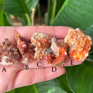One Moroccan Vanadinite and Barite Cluster from Morocco.