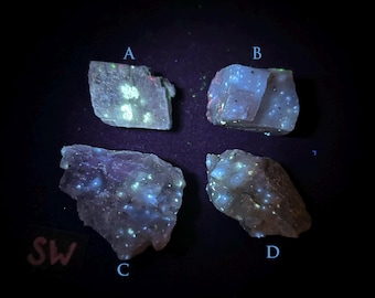 ONE Fluorescent DIOPSIDE in Calcite with Galena. Shortwave (sw 254nm) uv. Sterling Hill, Nj