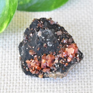 Puede incluir: Una formación rocosa oscura y de textura rugosa con grupos de cristales de color rojo anaranjado vibrante. Los cristales son pequeños y agrupados, contrastando con la roca base oscura y porosa. Espécimen mineral natural sobre fondo neutro.