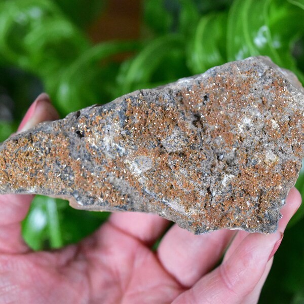 Large Piece with Tiny Vanadinite Crystals from Mibladen, Morocco.