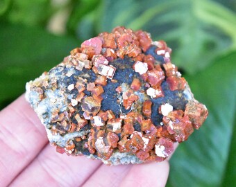 Lustrous Vanadinite crystal cluster on matrix. Bright red cluster from Mibladen, Morocco.