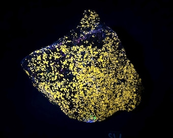 Large 3.8 lb Fluorescent Wollastonite, Franklinite, Pyrite. Yellow shortwave SW fluorescence. Sterling Hill Mine, NJ.