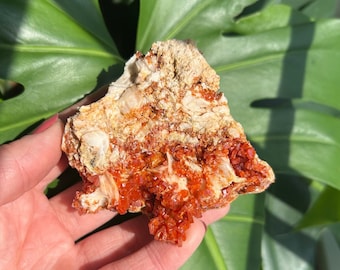 Sparkly Red Vanadinite on Barite crystal cluster. Crystal Cluster from Mibladen, Morocco.