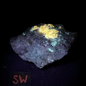 Fluorescent NORBERGITE and DIOPSIDE in Franklin marble with Galena. Shortwave (sw 254nm) UV. Sterling Hill, Nj - ET130