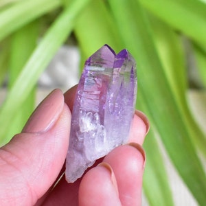 Zwilling Veracruz Amethyst Punkte. Kristallexemplar aus Veracruz, Mexiko. Wunderschönes Tieflila Quarz Kristall Cluster