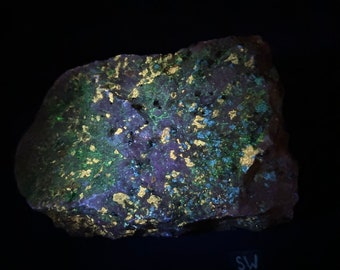 Large 6.4 lb Fluorescent Norbergite and Diopside in Franklin marble with Galena. Shortwave (sw 254nm), Midwave UV. Sterling Hill, Nj