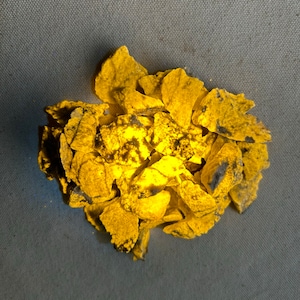 ONE Bright FLUORESCENT WERNERITE Specimen. B Quality - Small/Medium - Yellow Longwave Lw 365nm Fluorescence. From Grenville, Quebec, Canada
