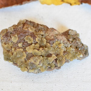 RARE AUSTINITE Crystal from Ojuela Mine, Durango, Mexico.
