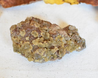 RARE AUSTINITE Crystal from Ojuela Mine, Durango, Mexico.