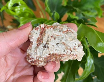 Red Vanadinite and Druzy Quartz on Barite Blades crystal cluster. Crystal Cluster from Mibladen, Morocco.