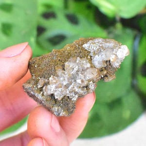 May include: A small mineral specimen with a rough texture, featuring a cluster of clear, crystalline formations. The mineral has a brownish-green base colour, with the crystals adding a sparkling, translucent quality. The background shows blurred green foliage.