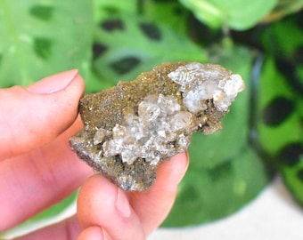 Rare FLUORESCENT ADAMITE and Selenite. Lusterous and gemmy. Neon Green Uv Fluorescence. High quality crystal from Durango, Mexico - ET135