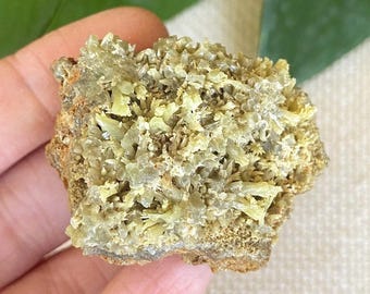 Beautiful Light Green PYROMORPHITE Crystal Cluster - ET125