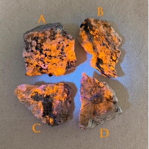 May include: Four irregularly shaped rocks with a mix of colors, including orange, black, and tan. The rocks are labeled A, B, C, and D. The orange color is prominent, suggesting a possible fluorescent quality. The rocks are likely minerals or gemstones.