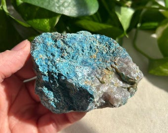 Rare Shattuckite, Chrysocolla, Plancheite, Quartz, and Mottramite. Healing Crystal from Namibia.