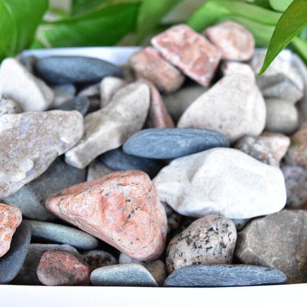 x5 Lake Stones from Loch Linne. Self Collected in Onich, Scotland.