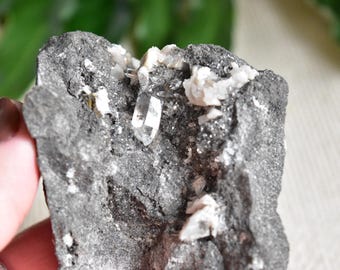 Beautiful Petroleum Included Herkimer Diamond Crystals and Dolomite on Matrix. Middleville, New York.