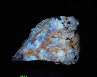 Hydrozincite, Calcite, Galena, and Sphalerite. Sw Lw Mw UV Fluorescent. Columbia Mine, Marion, Crittenden Co., Kentucky.