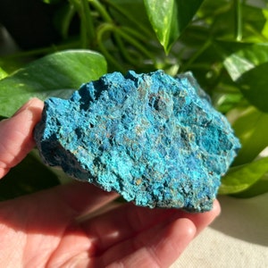 May include: A rough, blue-green chrysocolla crystal with a textured surface. The crystal is a natural stone and has a unique, organic shape.